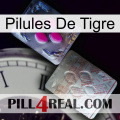 Tiger Pills 38